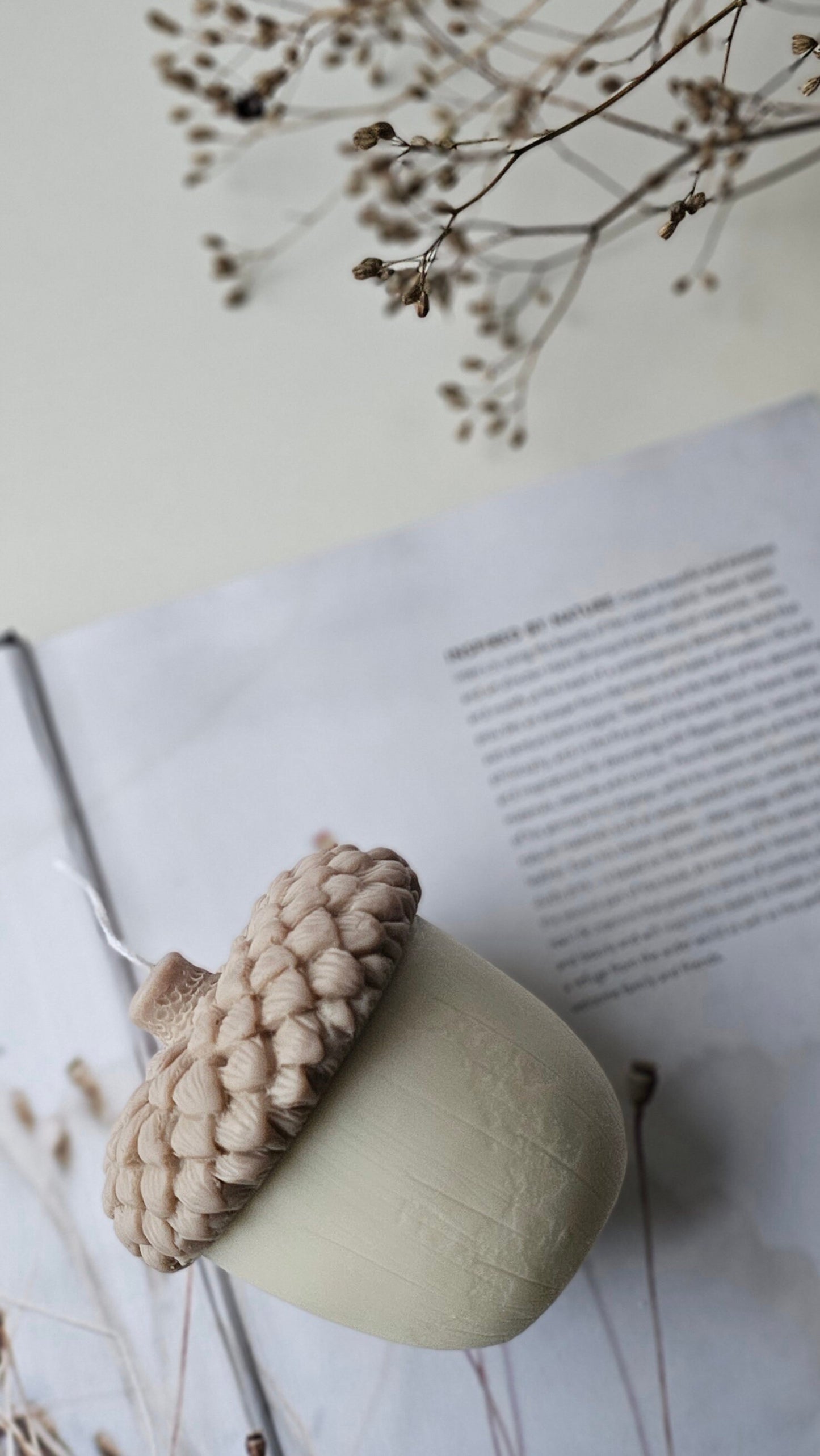 Decorative Large Oaknut Acorn 100% Pure Soy Candle